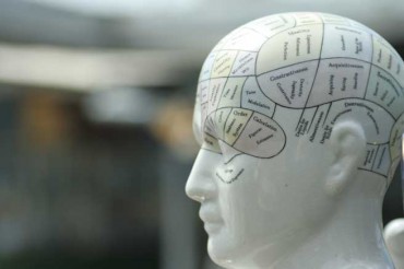 Shema form mental models that allow us to quickly take in and categorize information based upon previous experience