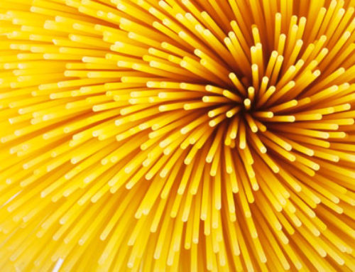 Complexity Theory from Machines to Ecosystems