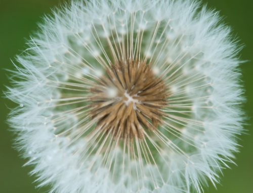 Complexity Theory: Key Concepts