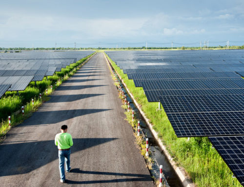 Sustainable Development & Decoupling