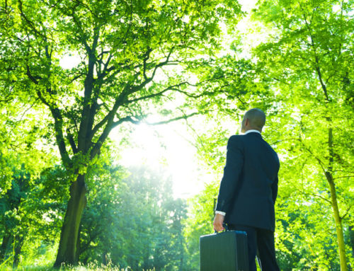 Natural Capital Accounting