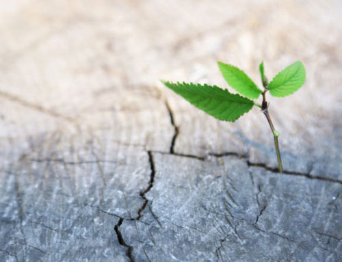 Reductionism & Synthesis