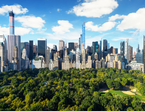 The Rise of Sustainability