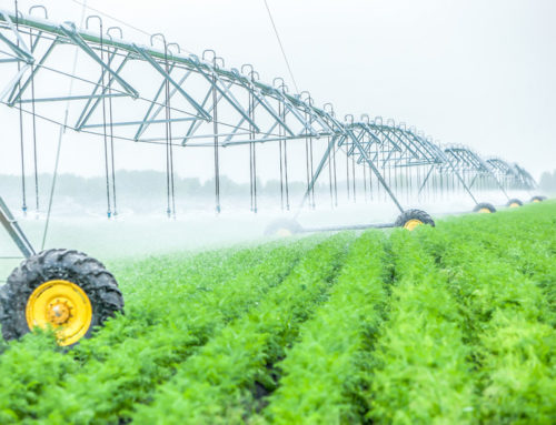 Water-Energy-Food Nexus